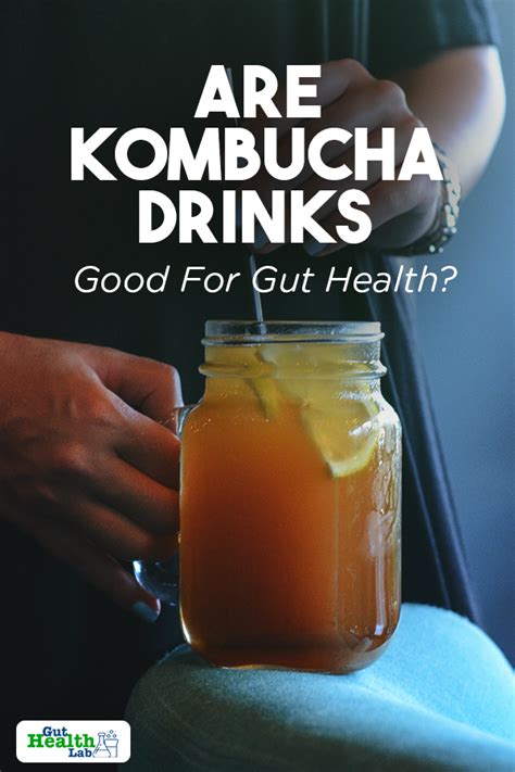 is kombucha good for your gut